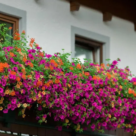 Appartamento Elfi Saalbach-Hinterglemm